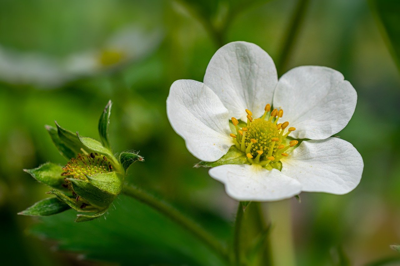 How to Go Green in Your Home Garden